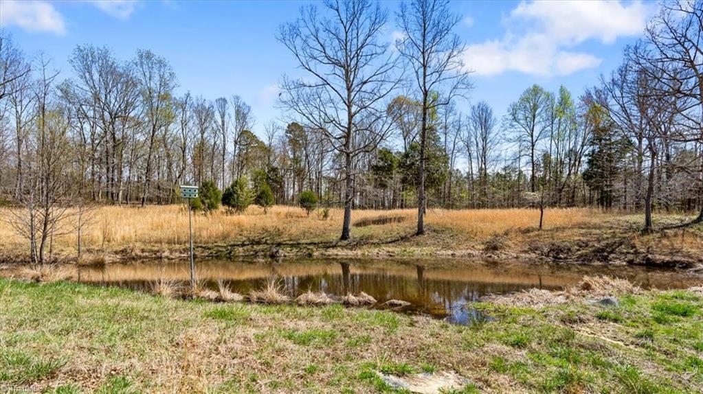 6318 Cloud Road Julian, NC 27283 - Photo 7 of 38