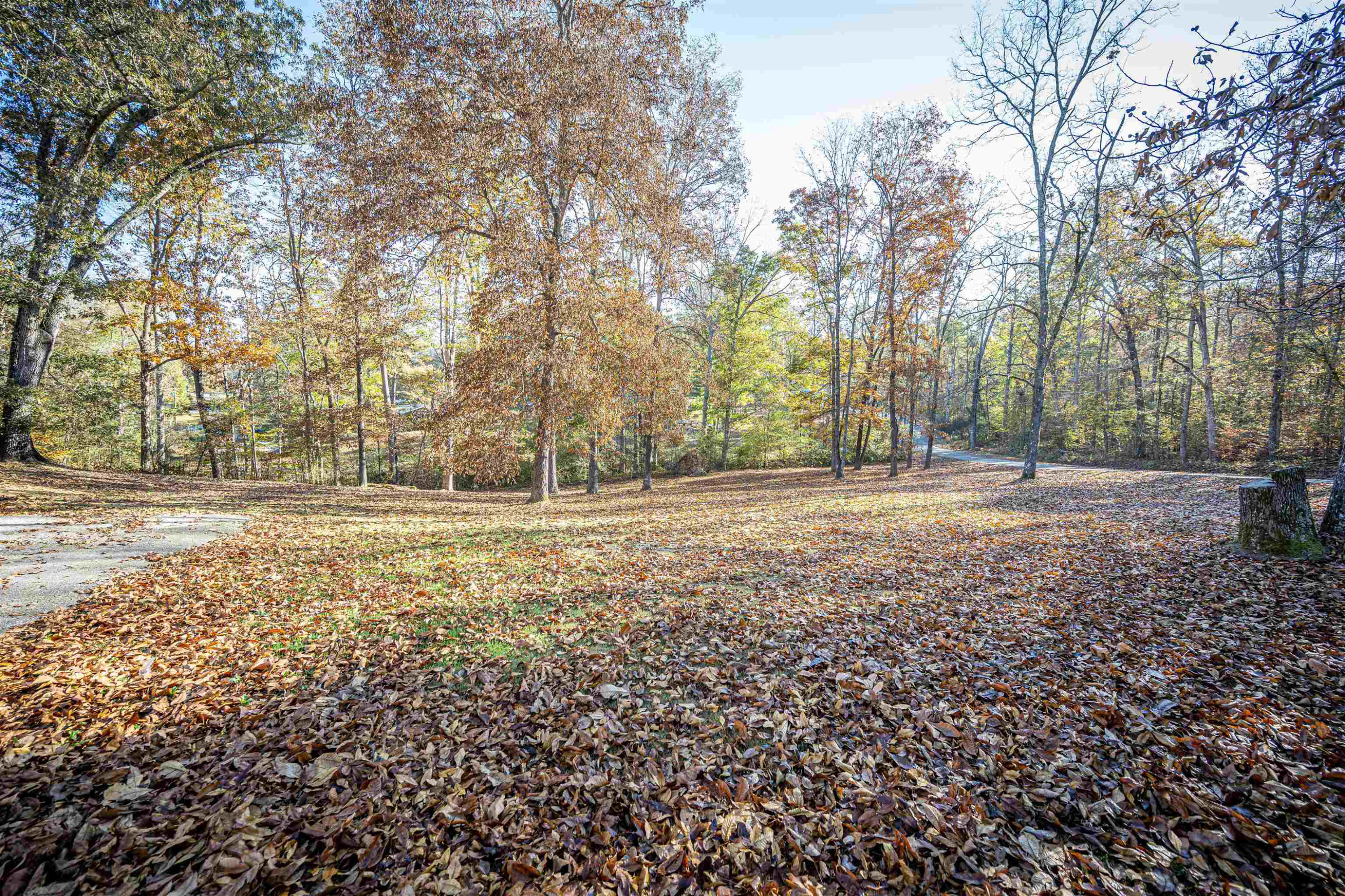 571 Madison Scott Road Parsons, TN 38363 - Photo 20 of 27 Photo 20