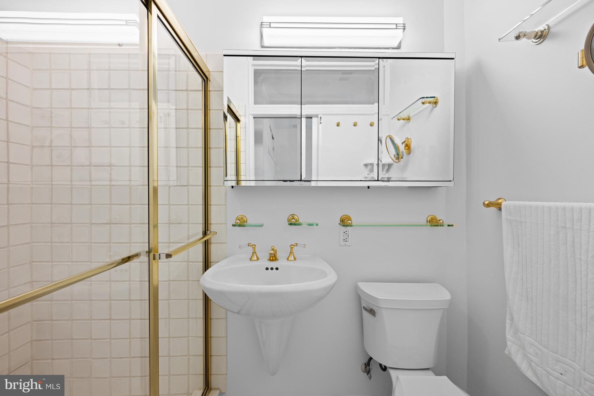 1423 34th Street Northwest Washington, DC 20007 - Photo 17 of 30 a bathroom with a sink a toilet and shower