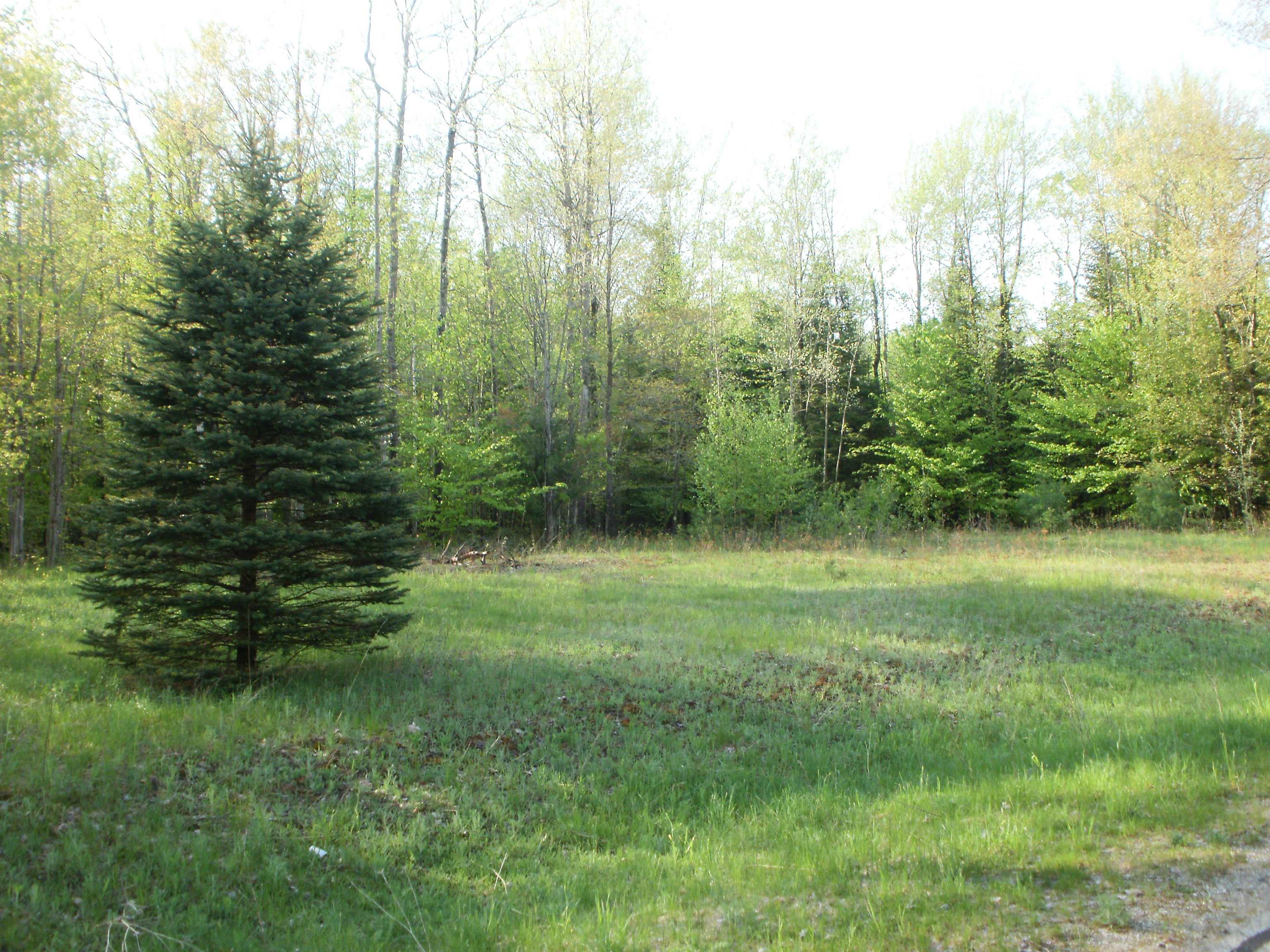 21919 Simpson Road Copemish, MI 49625 - Photo 6 of 6