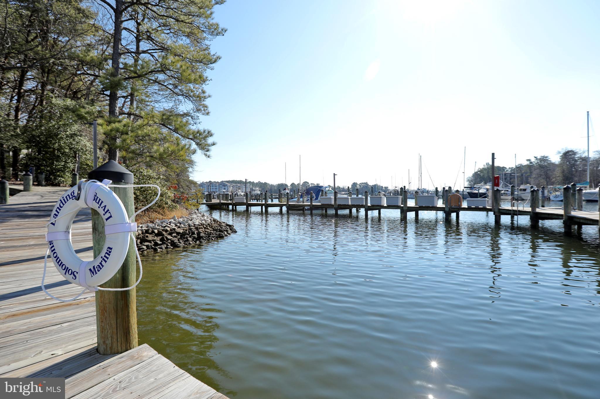 1372 Schooner Loop, Unit 1372 Solomons, MD 20688 - Photo 23 of 54