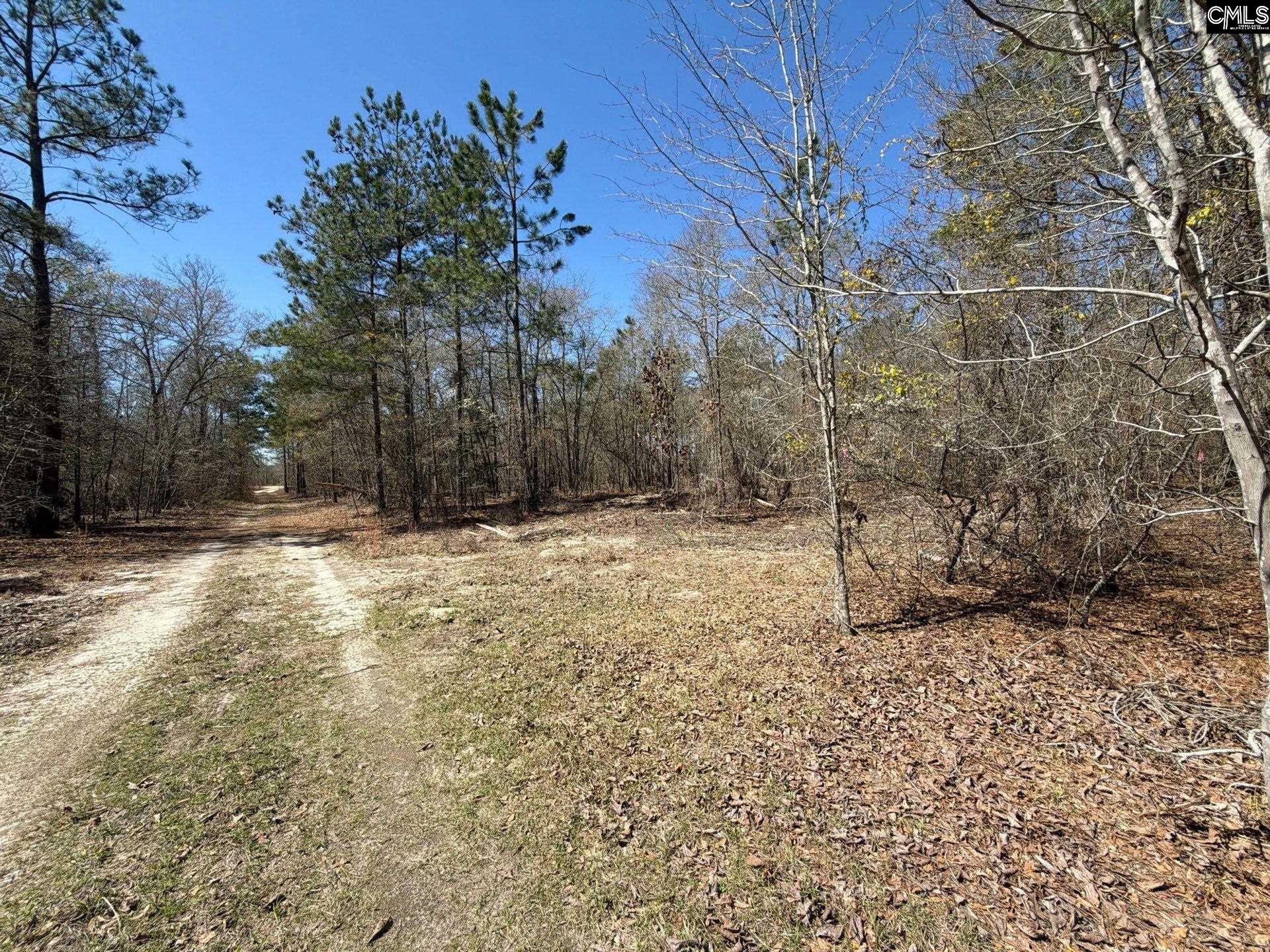 9 Boise Cascade Road, Unit BHL 9 Bethune, SC 29009 - Photo 7 of 44