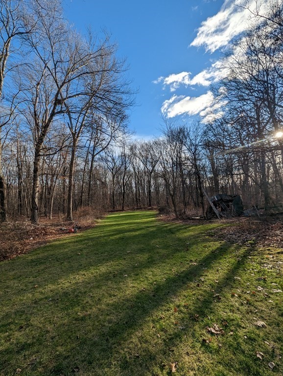 34 Colonial Road Sutton, MA 01590 - Photo 31 of 34 a view of a park with large trees