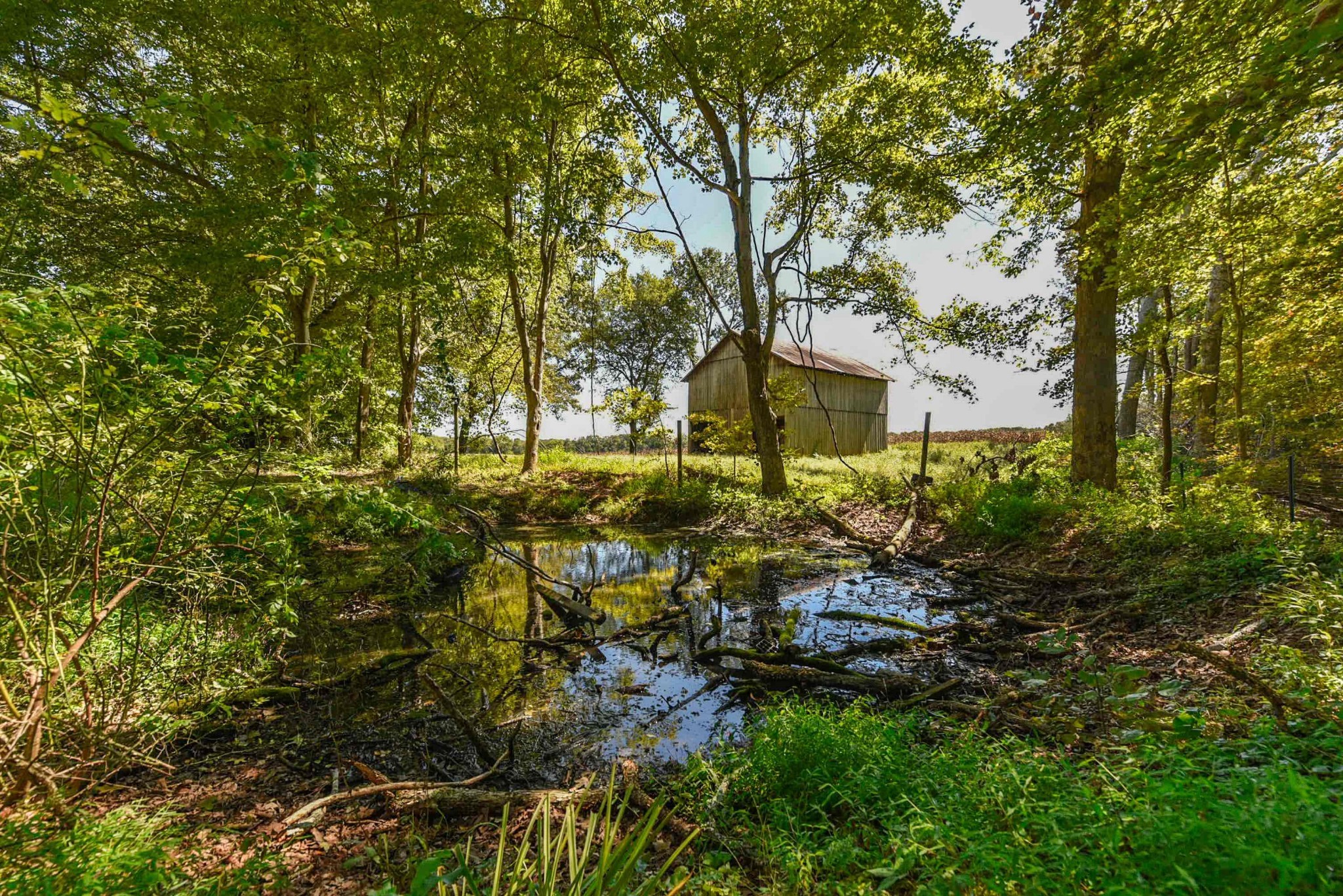 1630 York Road Clarksville, TN 37042 - Photo 43 of 45 Gallery Image 43