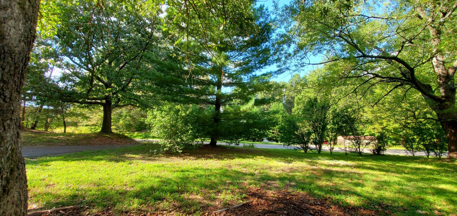 1630 York Road Clarksville, TN 37042 - Photo 45 of 45 Gallery Image 45