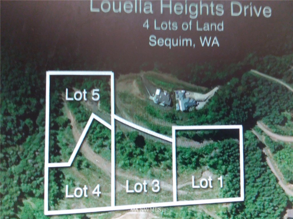 0 Louella Heights Road, Unit LOT 4 Sequim, WA 98382 - Photo 11 of 11 Gallery Image 11