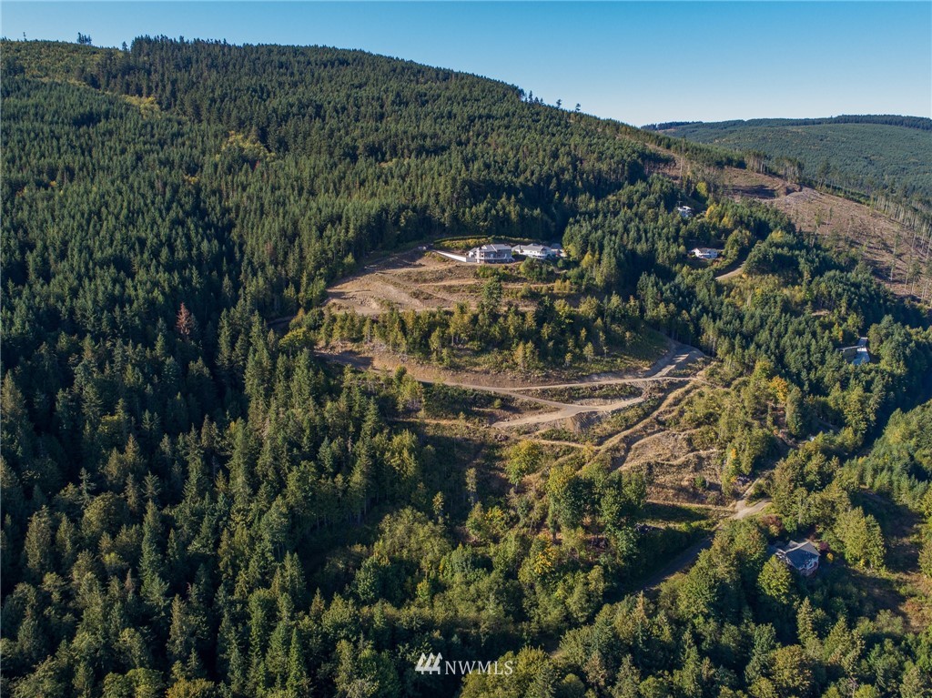 0 Louella Heights Road, Unit LOT 4 Sequim, WA 98382 - Photo 6 of 11 Gallery Image 6