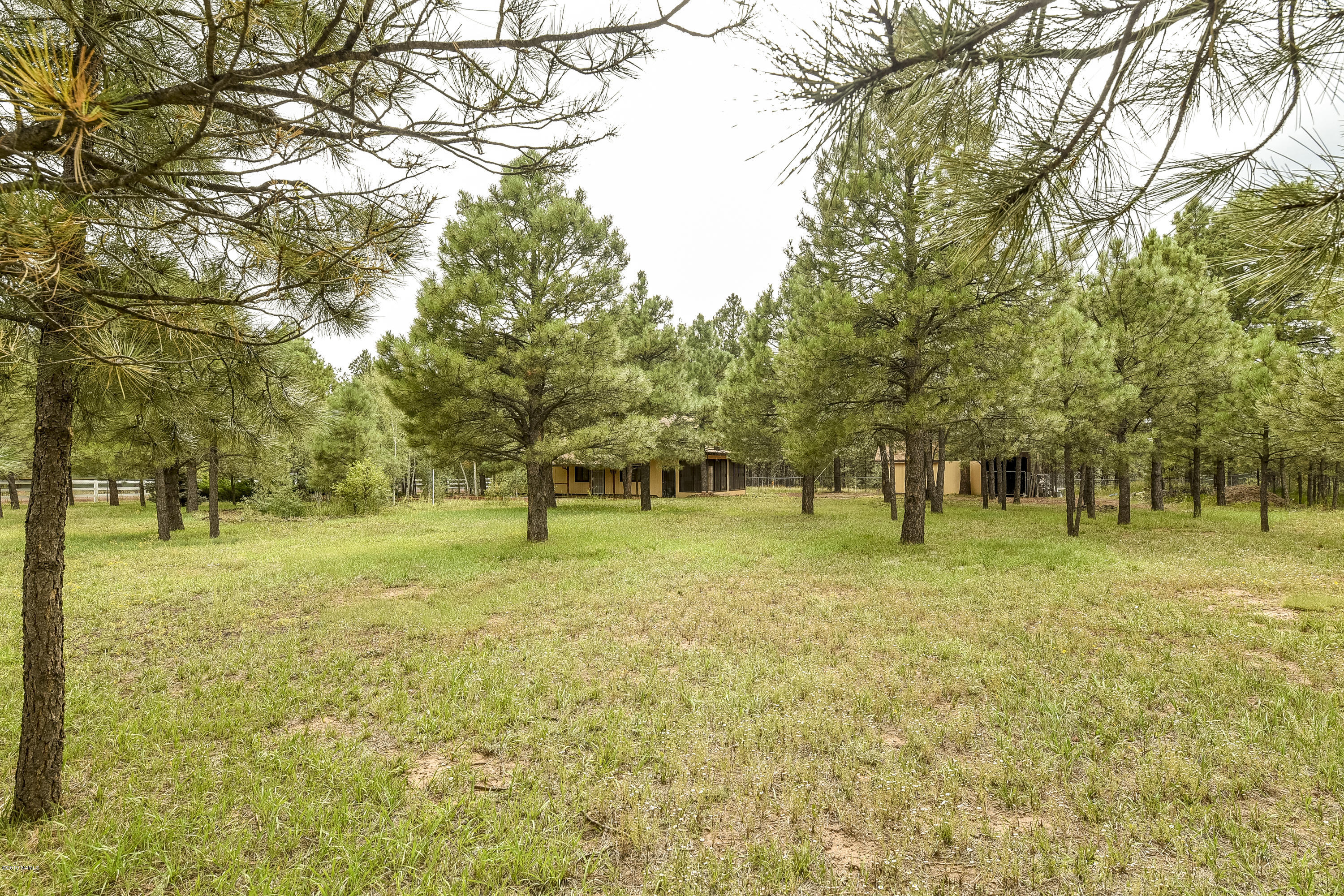 13159 King John Road Parks, AZ 86018 - Photo 6 of 40 DSC_5420