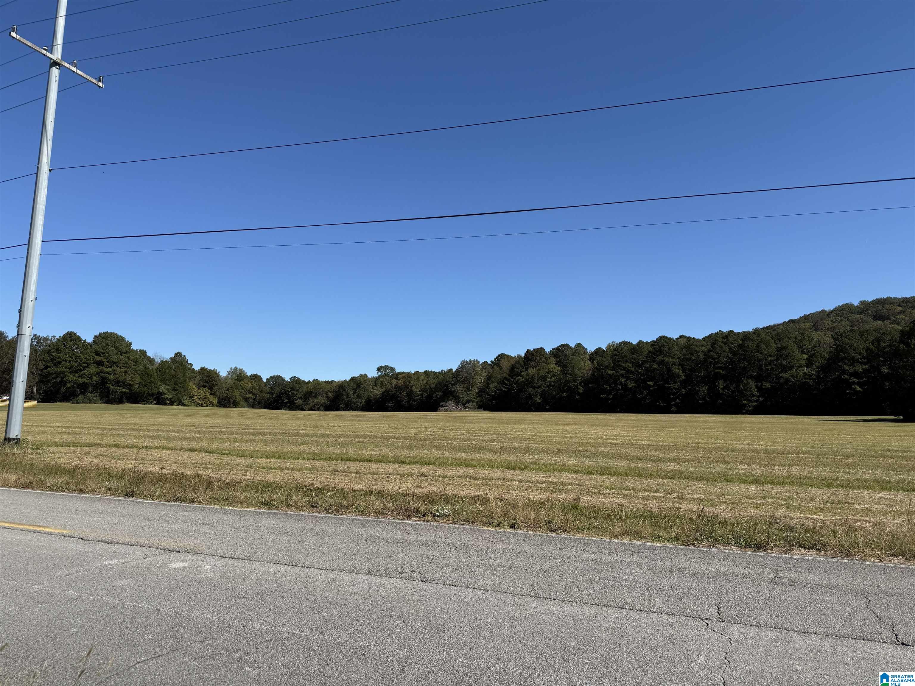 0 Old Six Mile Road, Unit 103 Somerville, AL 35670 - Photo 9 of 17