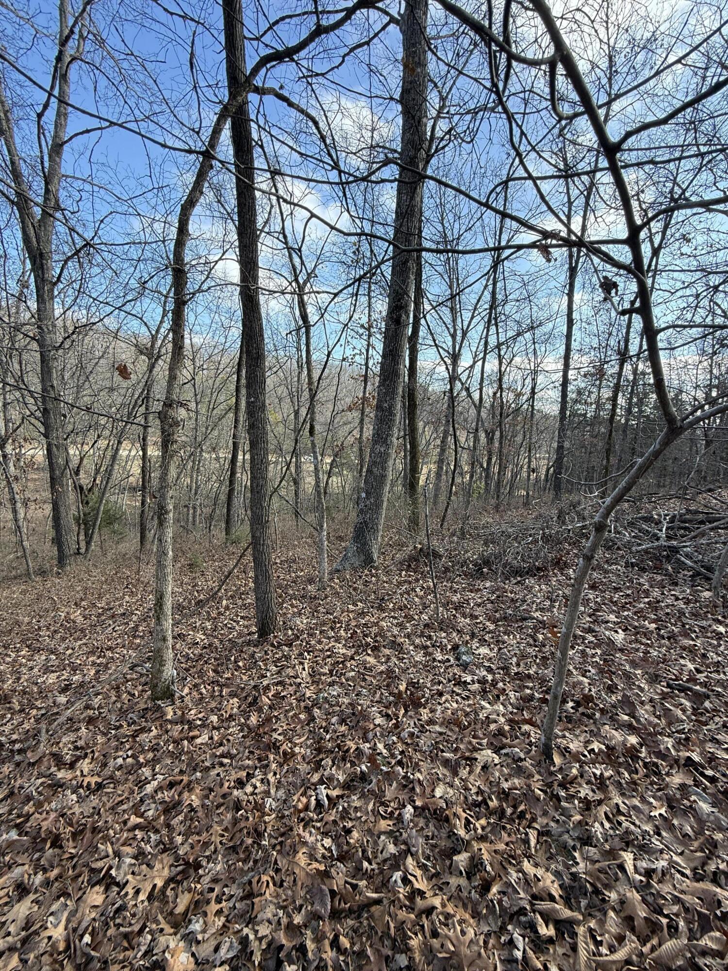 0 Varvel Road Willow Springs, MO 65793 - Photo 29 of 62 IMG_0800