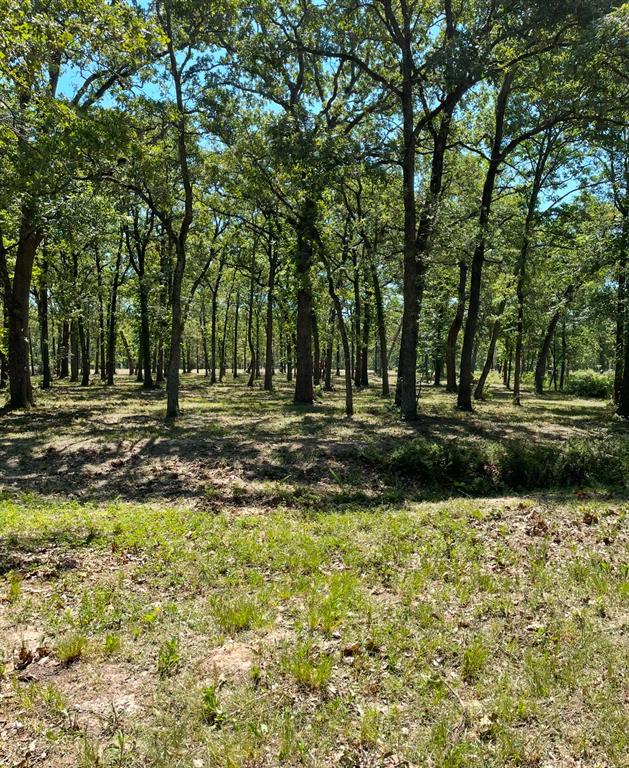 Tbd Nautical Drive Quinlan, TX 75474 - Photo 11 of 14 a backyard of a house with lots of green space