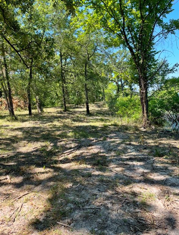 Tbd Nautical Drive Quinlan, TX 75474 - Photo 12 of 14 a view of a yard with a tree