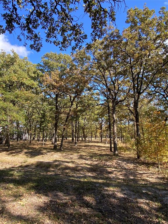Tbd Nautical Drive Quinlan, TX 75474 - Photo 6 of 14 a view of road with large trees