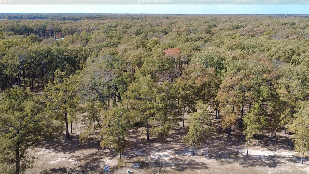 Tbd Nautical Drive Quinlan, TX 75474 - Photo 9 of 14 a view of a forest with trees in the background