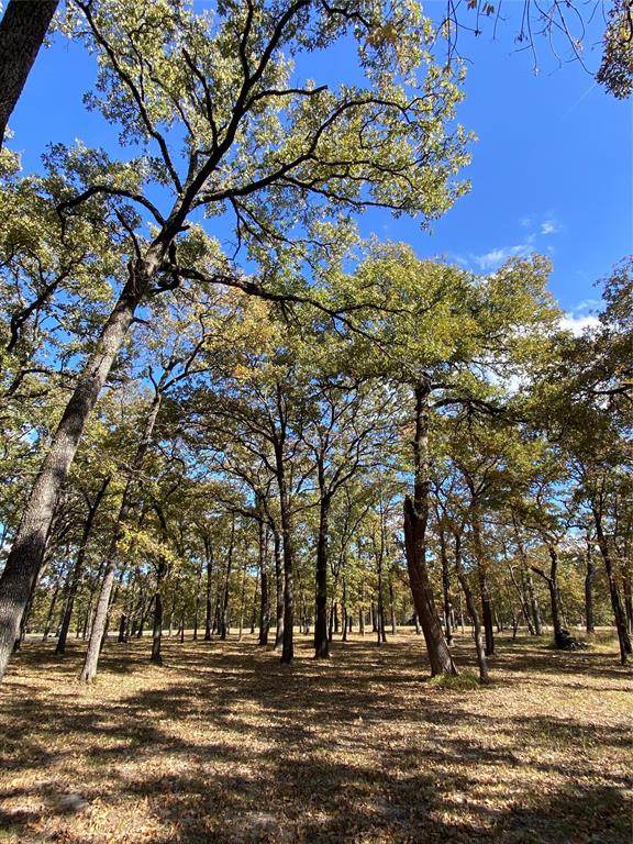 Tbd Nautical Drive Quinlan, TX 75474 - Photo 10 of 14 a view of road with trees