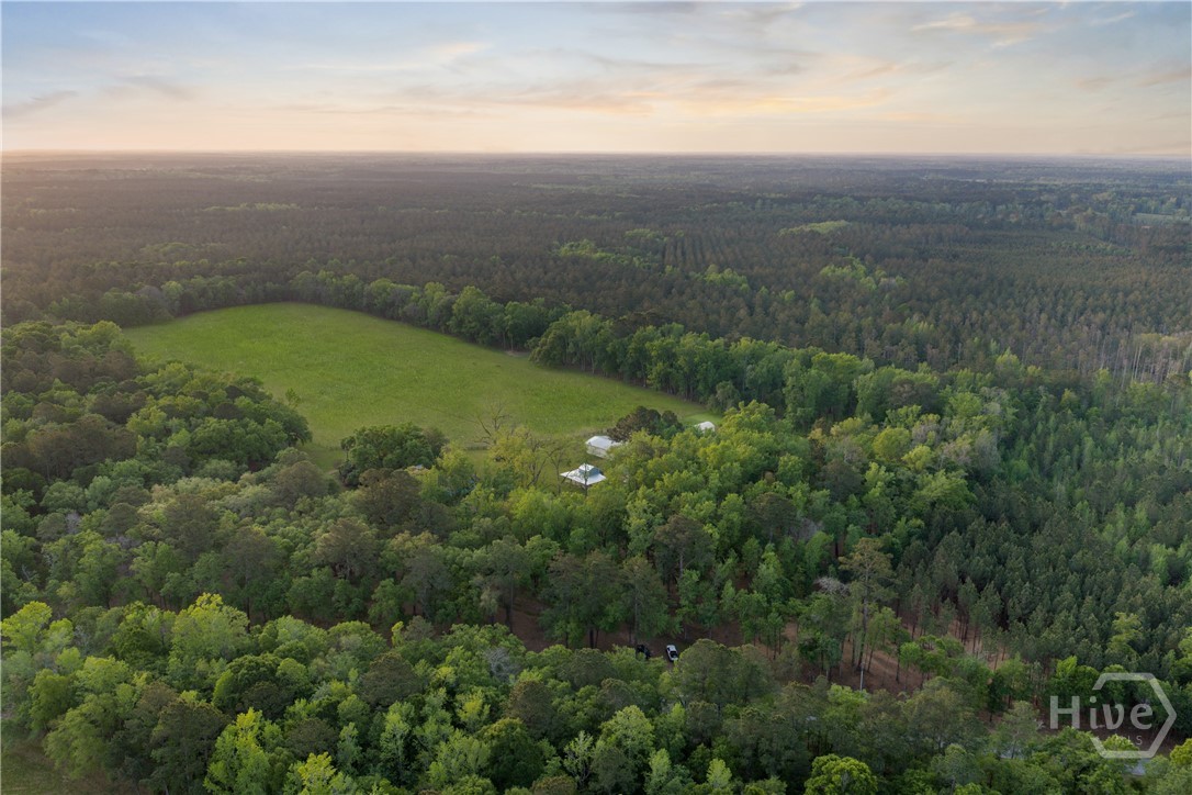 1151 Harry Lindsay Road Guyton, GA 31312 - Photo 12 of 66