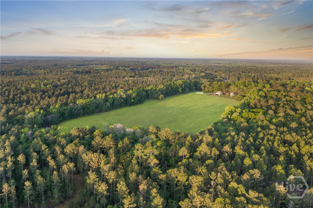 1151 Harry Lindsay Road Guyton, GA 31312 - Photo 13 of 66