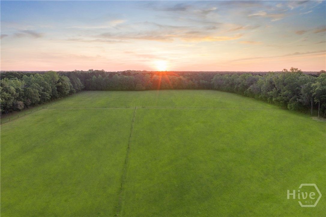 1151 Harry Lindsay Road Guyton, GA 31312 - Photo 14 of 66 PSTURE