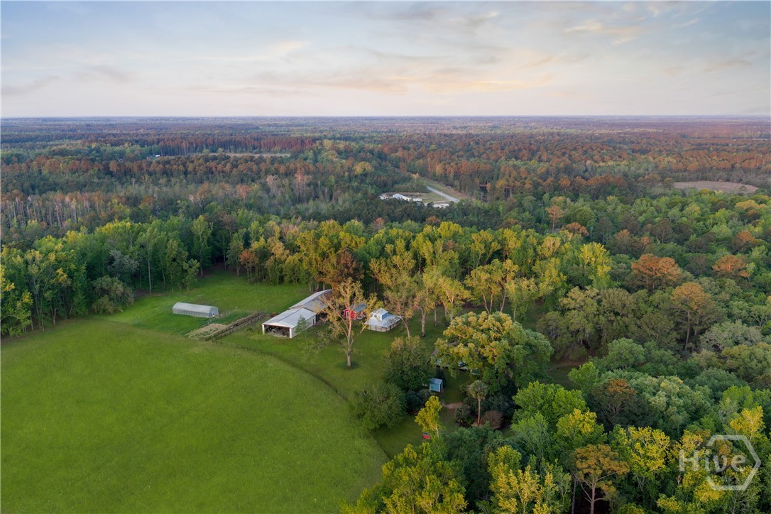 1151 Harry Lindsay Road Guyton, GA 31312 - Photo 2 of 66 Entire Homestead