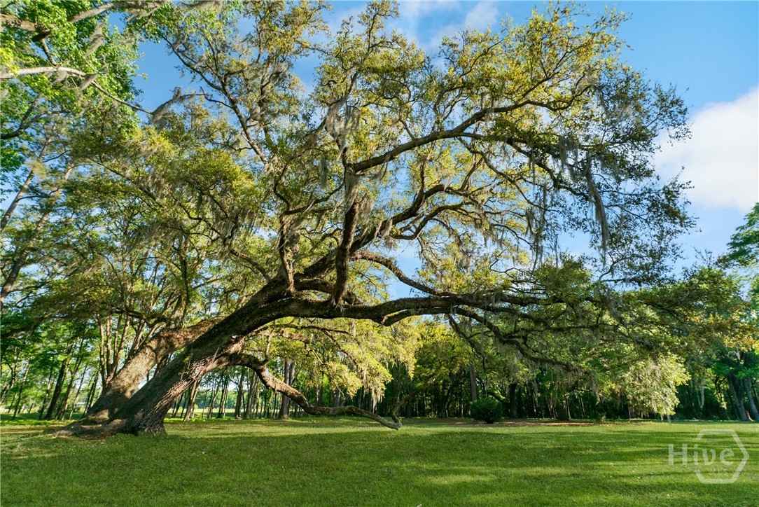 1151 Harry Lindsay Road Guyton, GA 31312 - Photo 3 of 66