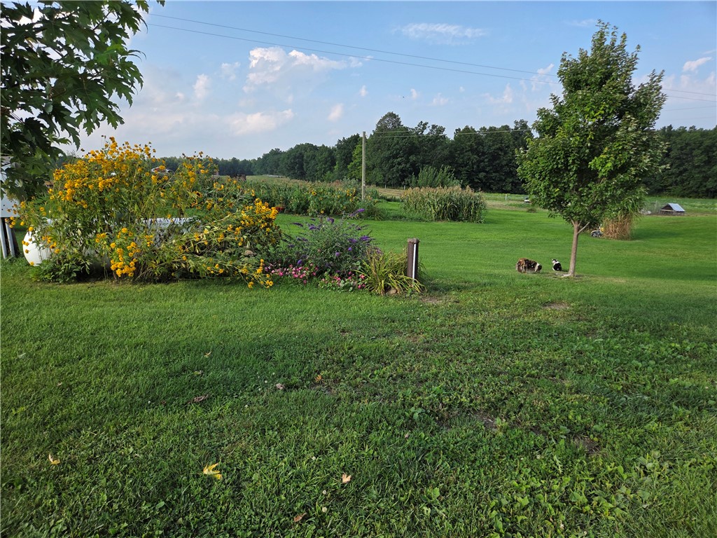 8549 Ford Road Pulteney, NY 14418 - Photo 10 of 34 Gallery Image 10