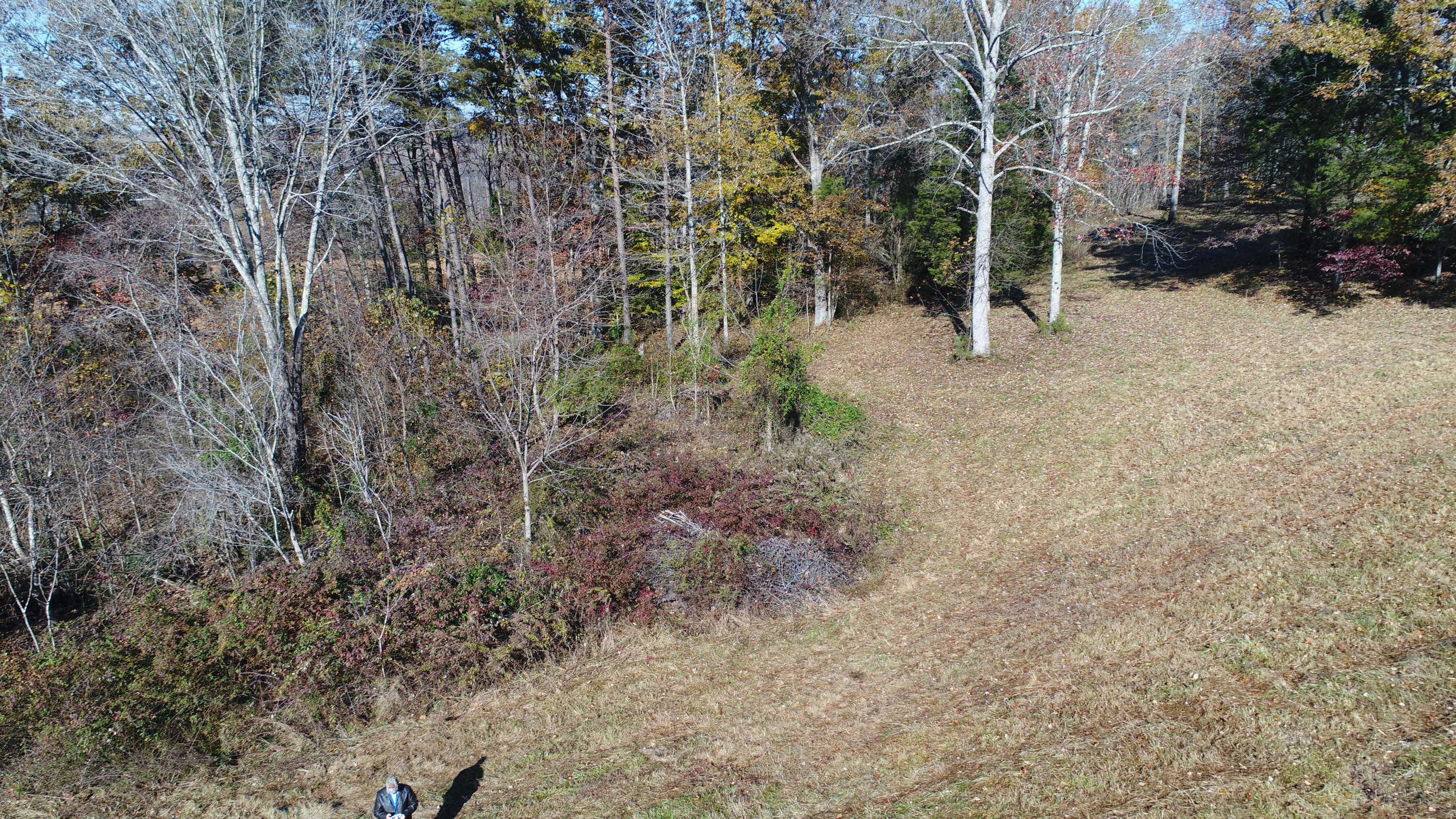 201 Goodhope Church Road Eubank, KY 42567 - Photo 11 of 28 DJI_0965