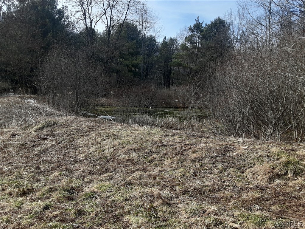 Lot A Porter Hollow Road Great Valley, NY 14741 - Photo 11 of 13