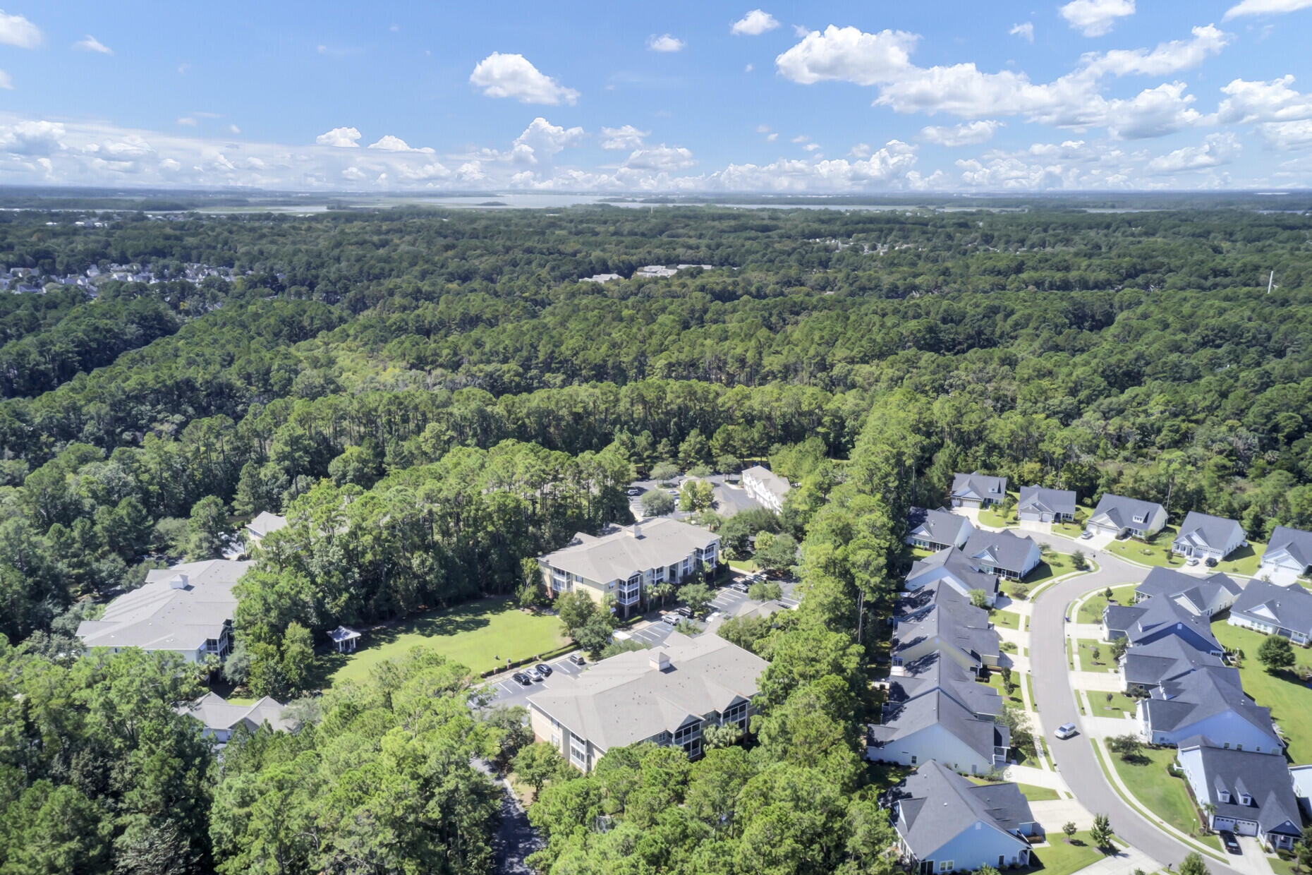 1018 Basildon Road, Unit 1018 Mount Pleasant, SC 29466 - Photo 40 of 62 Aerial View