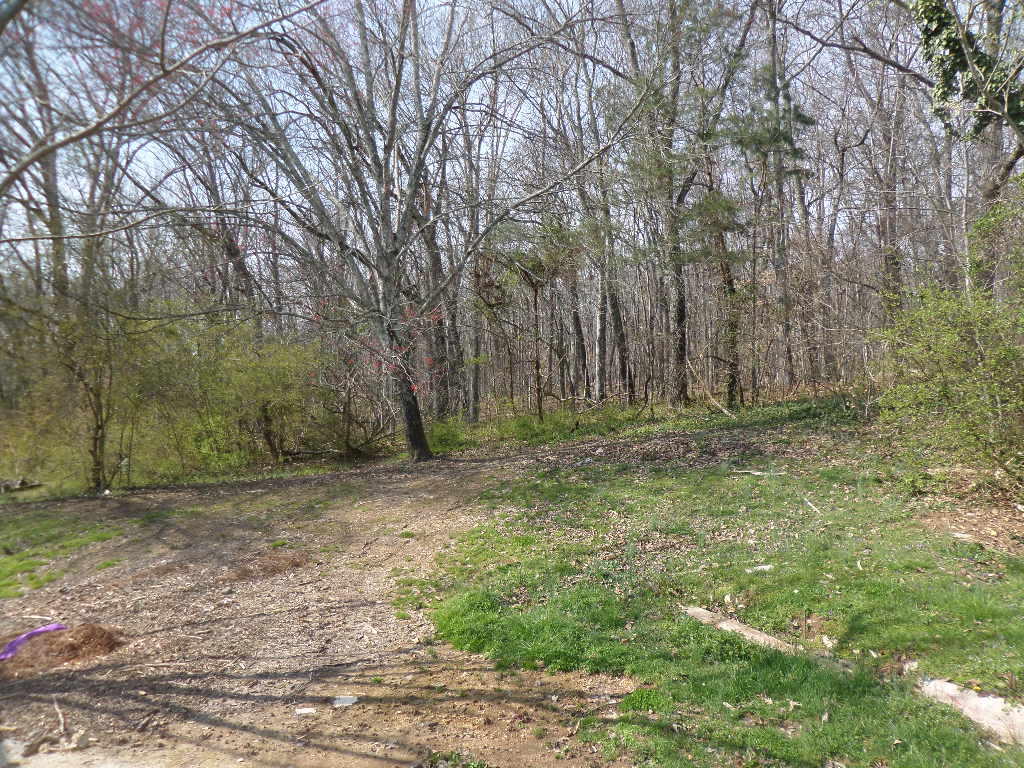 224 Hillside Road Oak Ridge, TN 37830 - Photo 18 of 18 Back Yard