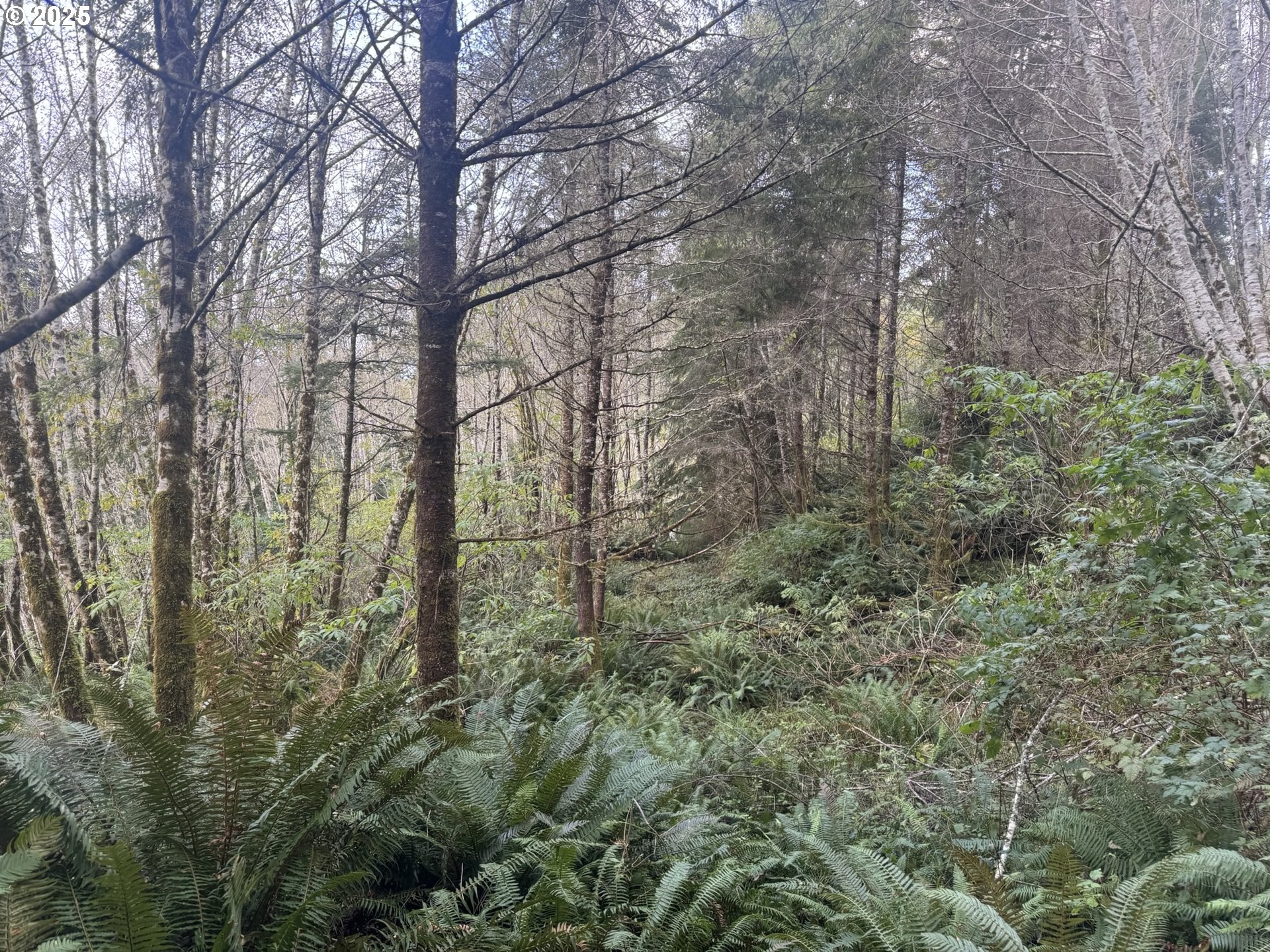 3 Potato Bottom Road, Unit 604 Lakeside, OR 97449 - Photo 8 of 19