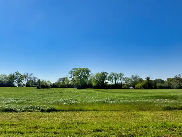 a view of a grassy field with an trees