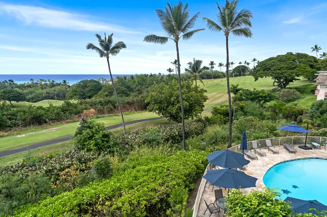 a view of a swimming pool with a garden