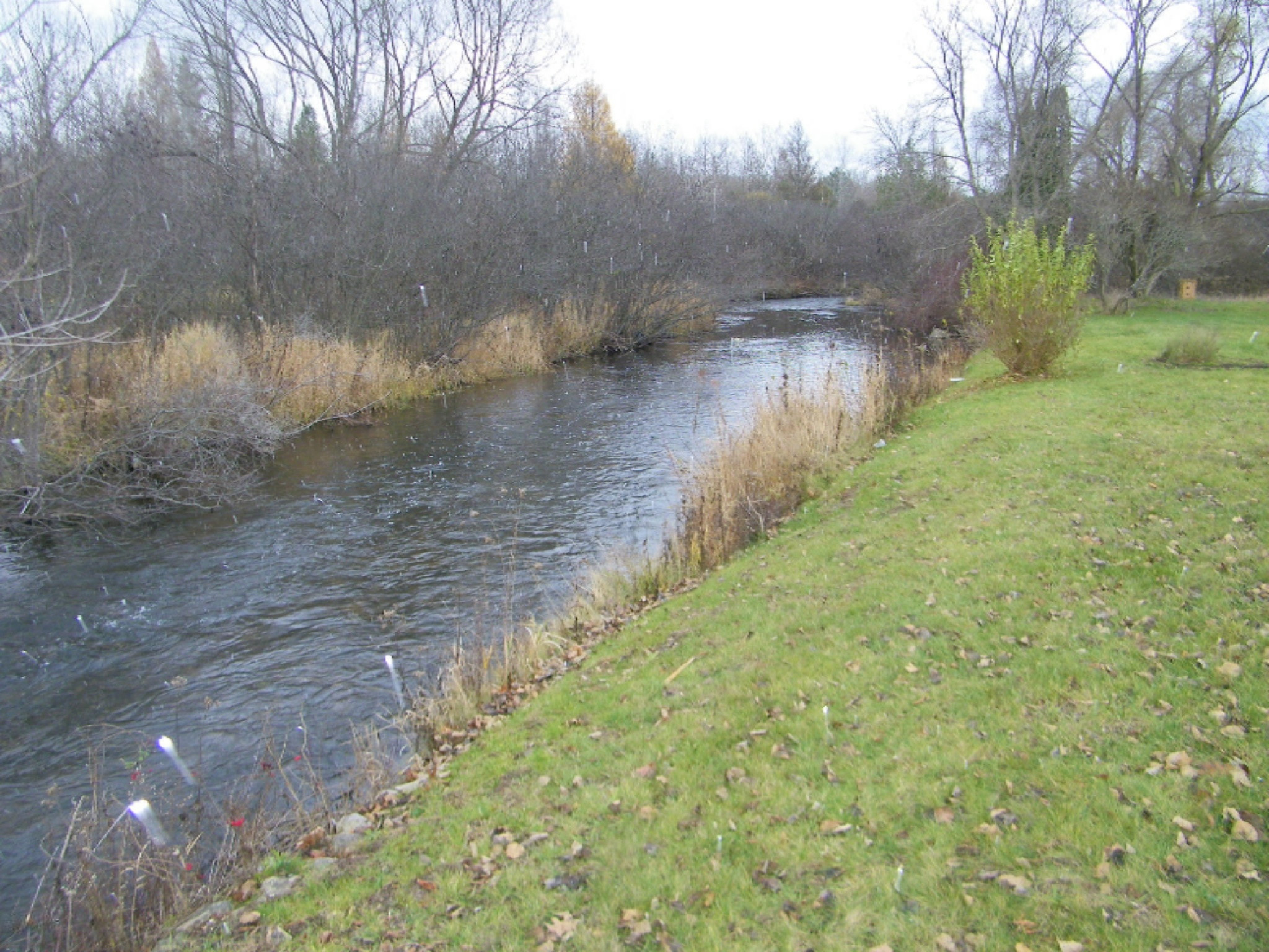 18581 16 Mile Road Big Rapids, MI 49307 - Photo 3 of 17 100_1677
