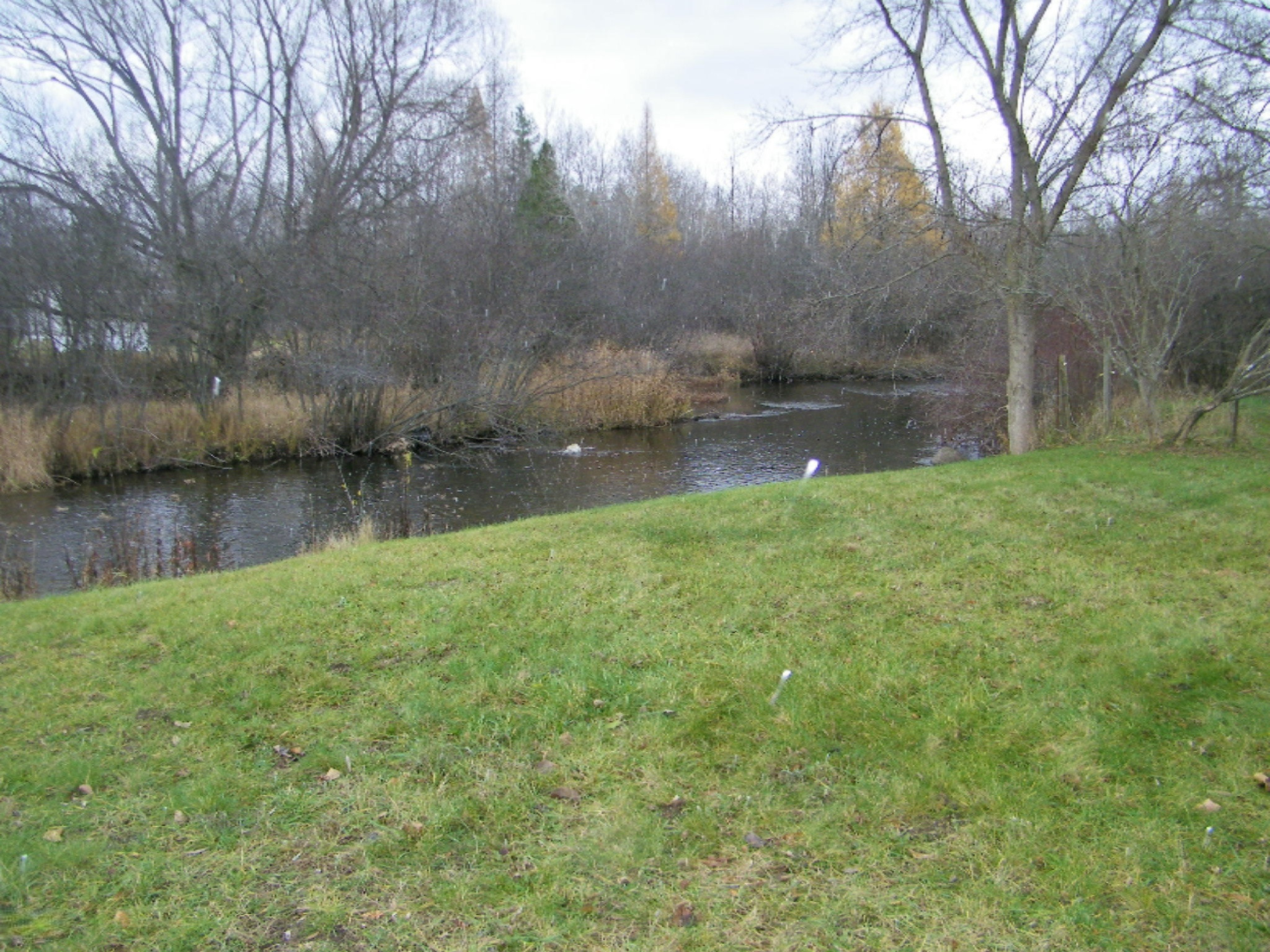 18581 16 Mile Road Big Rapids, MI 49307 - Photo 4 of 17 100_1679