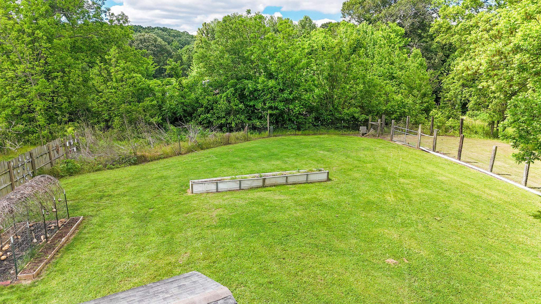 2390 Dr Lewis Road Ripley, TN 38063 - Photo 45 of 48 a view of a field with large trees