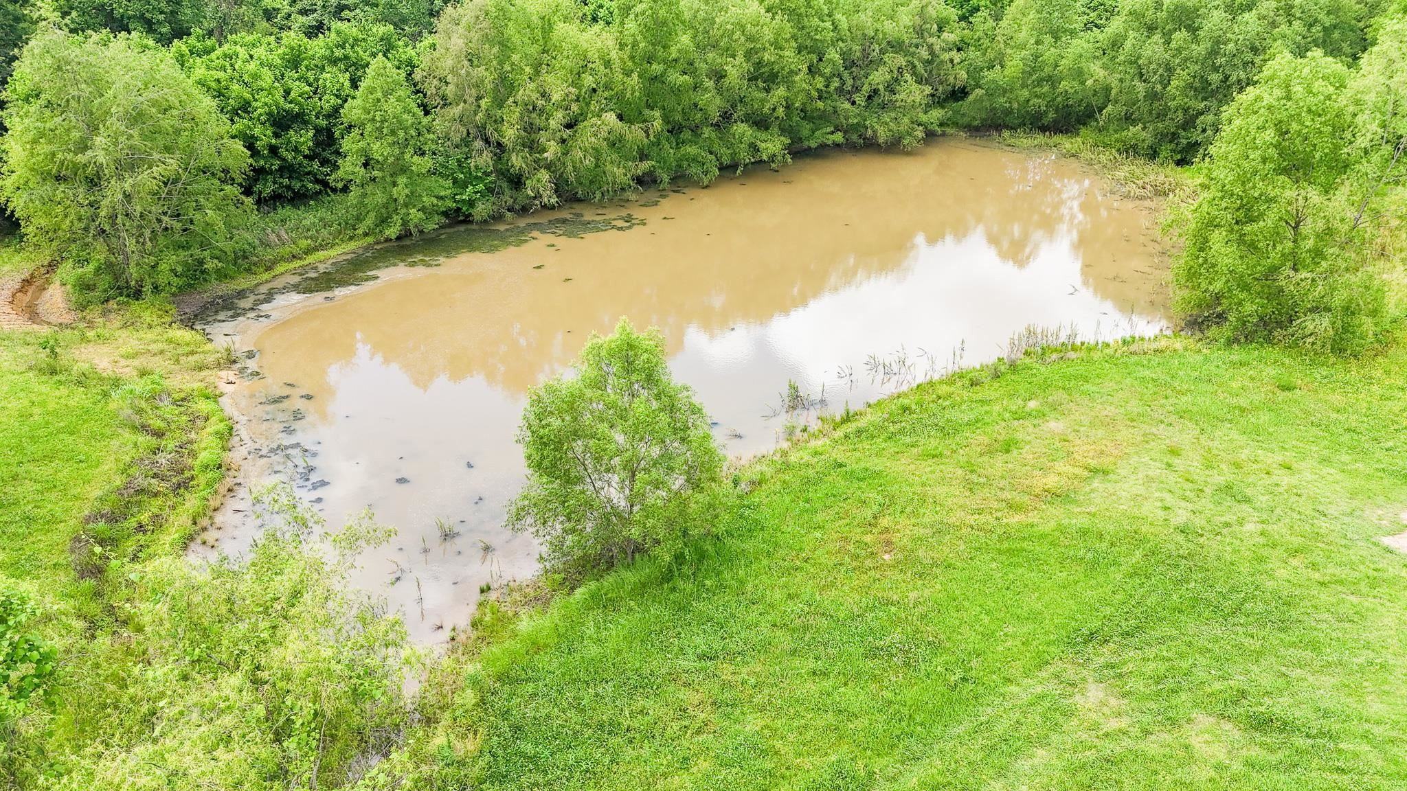 2390 Dr Lewis Road Ripley, TN 38063 - Photo 48 of 48 a view of a lake with a yard