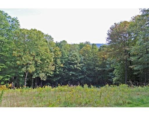 155 Mid County Road Leyden, MA 01337 - Photo 41 of 42