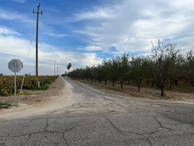 a view of a dry yard with wooden fence