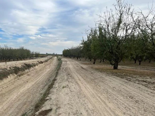a view of a lake view with beach