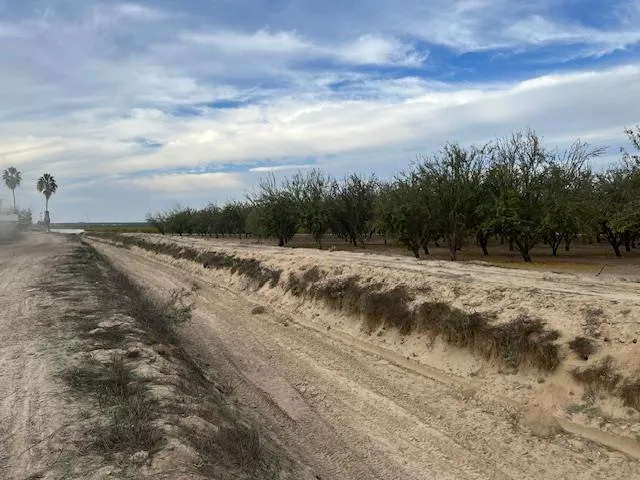 a view of a dry yard with wooden fence