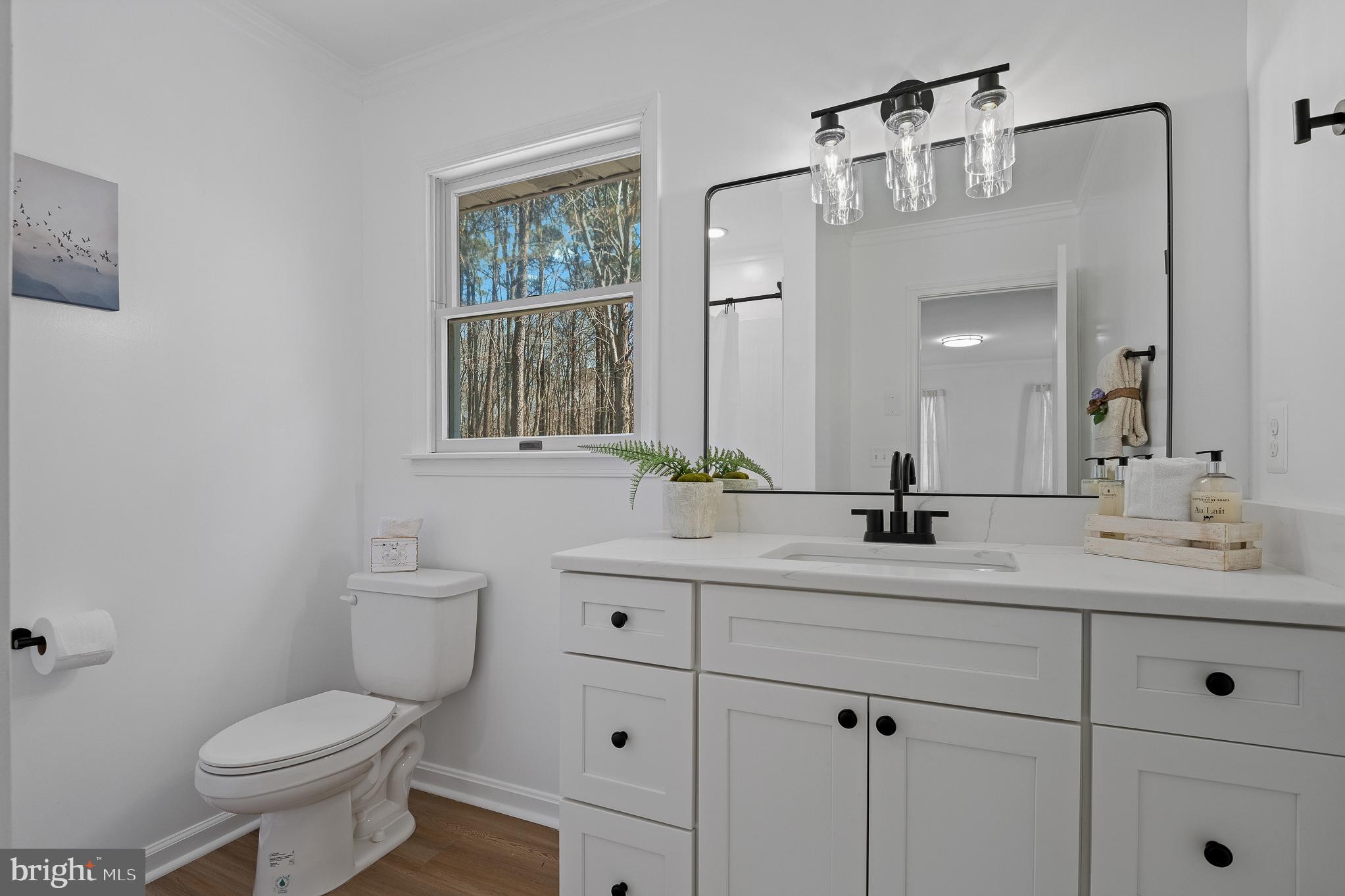 5235 Chalk Point Road West River, MD 20778 - Photo 44 of 69 a bathroom with a toilet sink and mirror