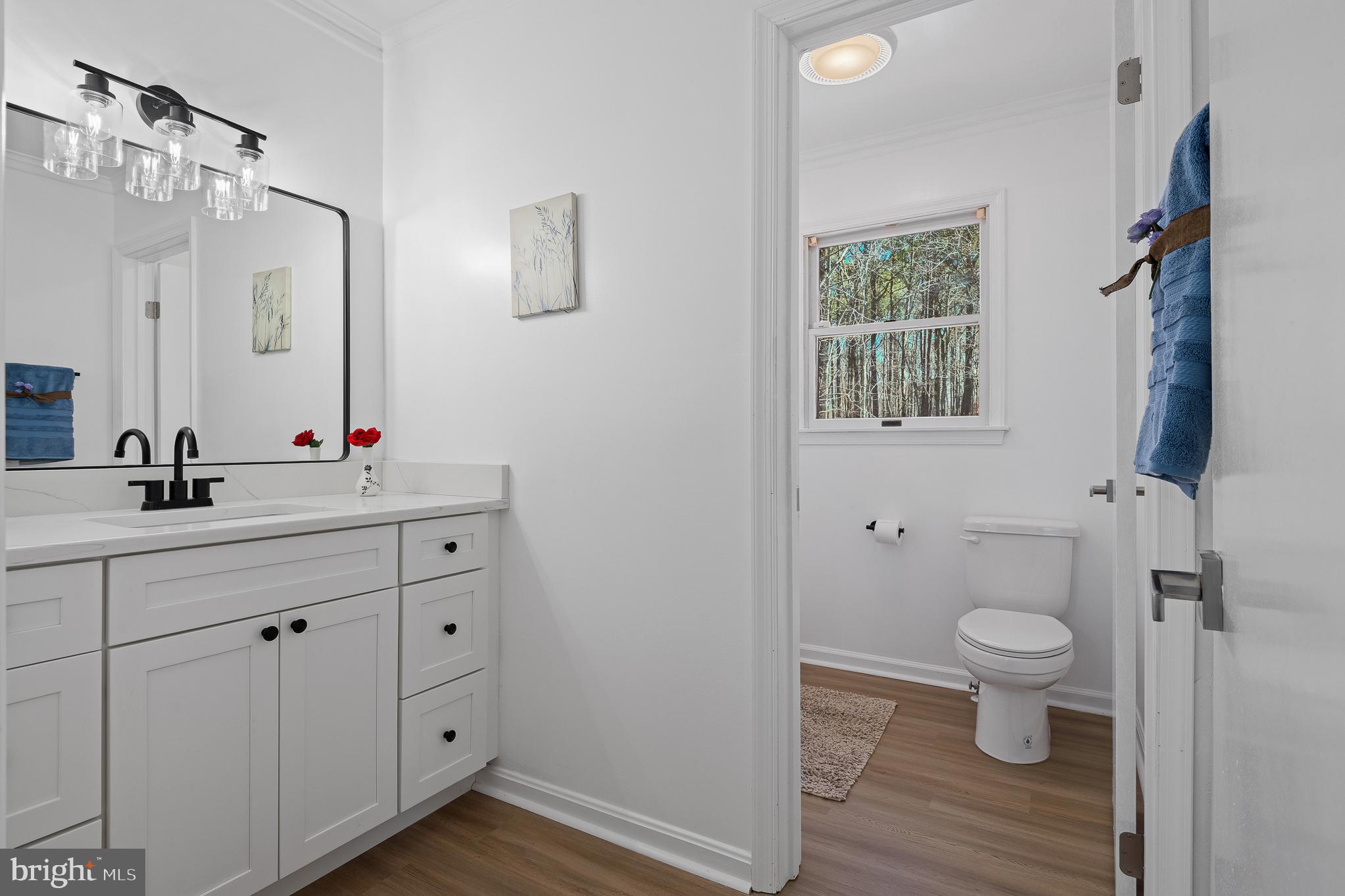 5235 Chalk Point Road West River, MD 20778 - Photo 52 of 69 a bathroom with a sink a toilet and a mirror