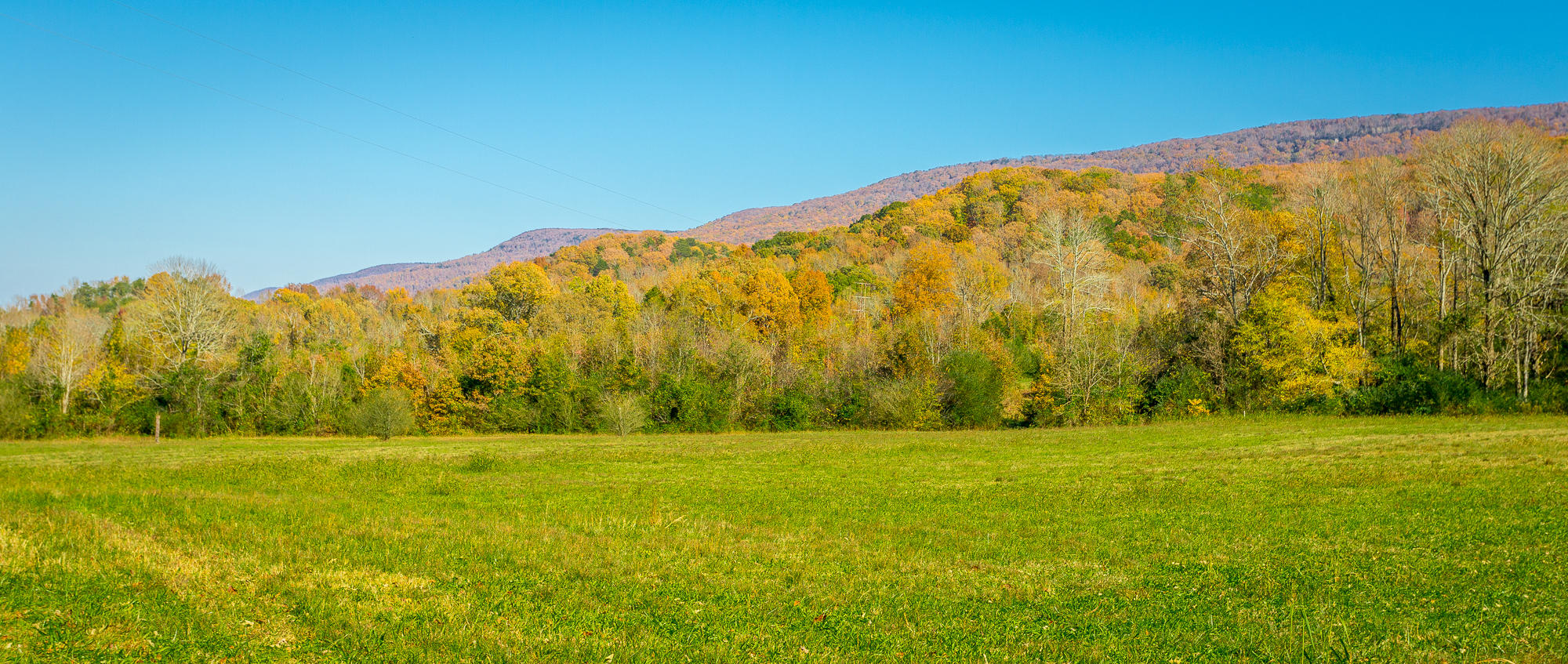 535 Powell Road Whitwell, TN 37397 - Photo 64 of 77 535 Powell Rd. FALL RE HD-4