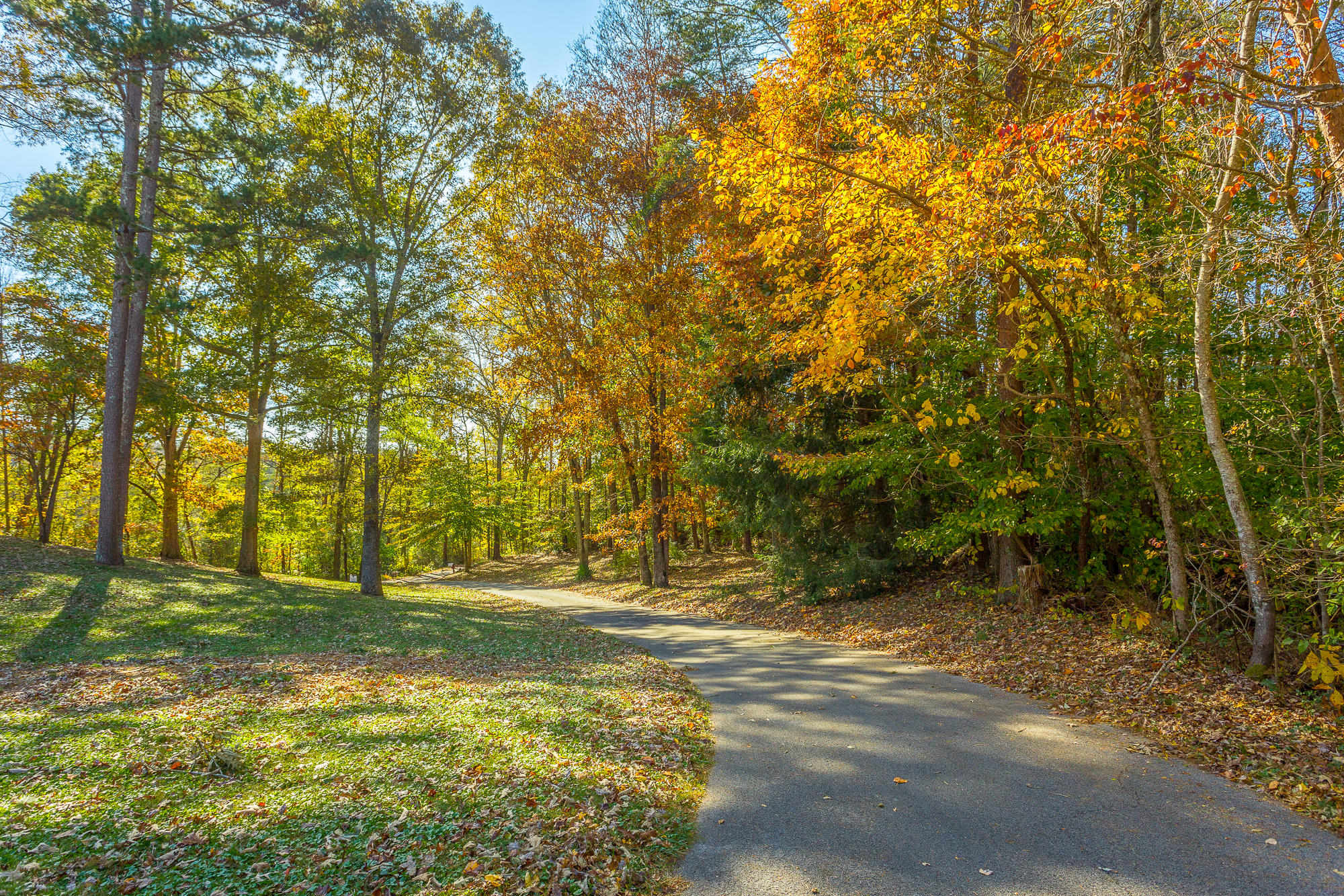 535 Powell Road Whitwell, TN 37397 - Photo 72 of 77 535 Powell Rd. FALL RE HD-17