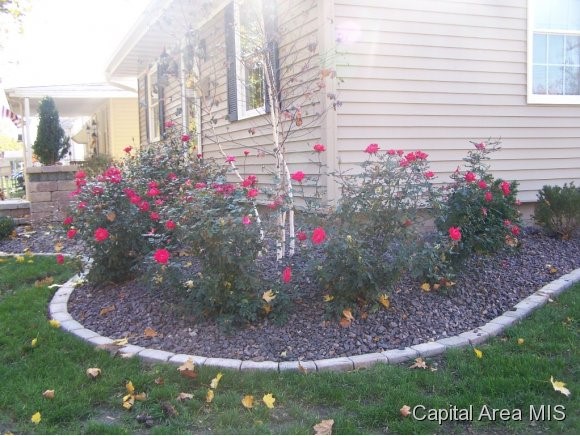 2501 South 4th Street Springfield, IL 62703 - Photo 22 of 23