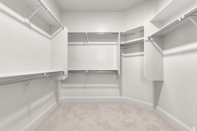 11718 South Halls Crk Road Draper, UT 84020 - Photo 19 of 28 Walk in closet with light carpet
