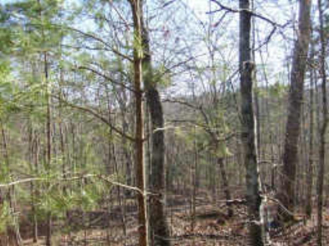 1548 Dorian Court, Unit 1548 Ranger, GA 30734 - Photo 1 of 1 Main View
