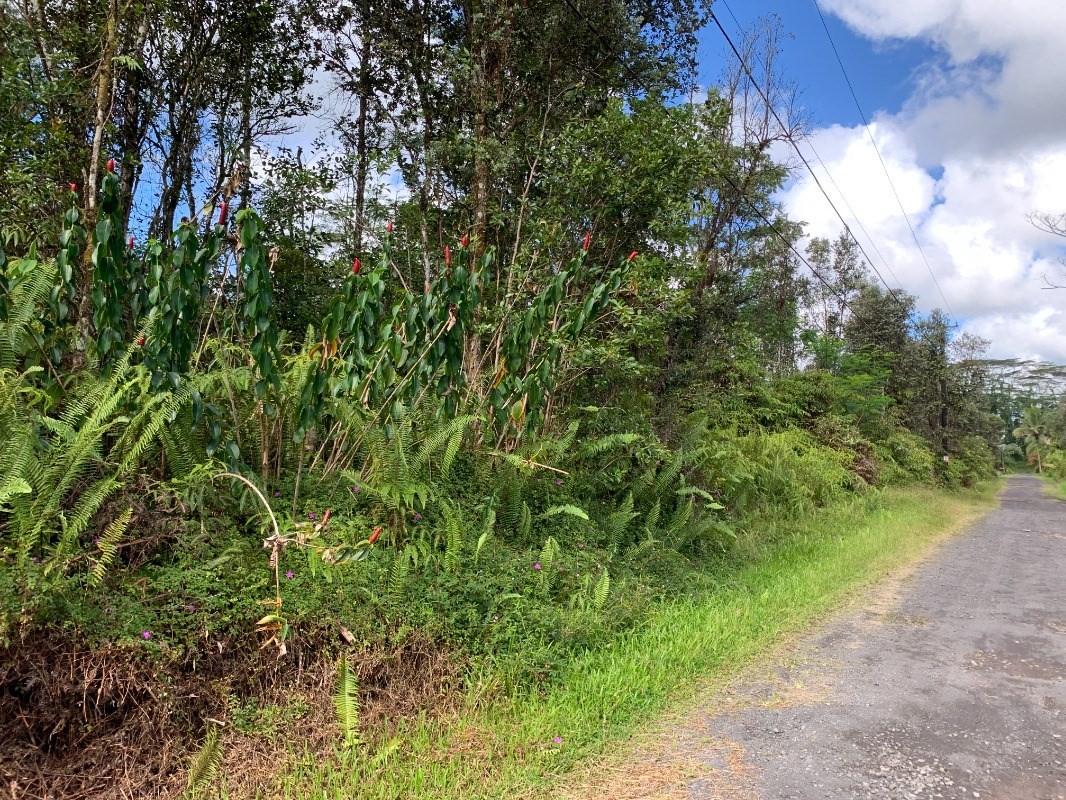 14-3374 Pikake Road Pahoa, HI 96778 - Photo 2 of 6 Gallery Image 2