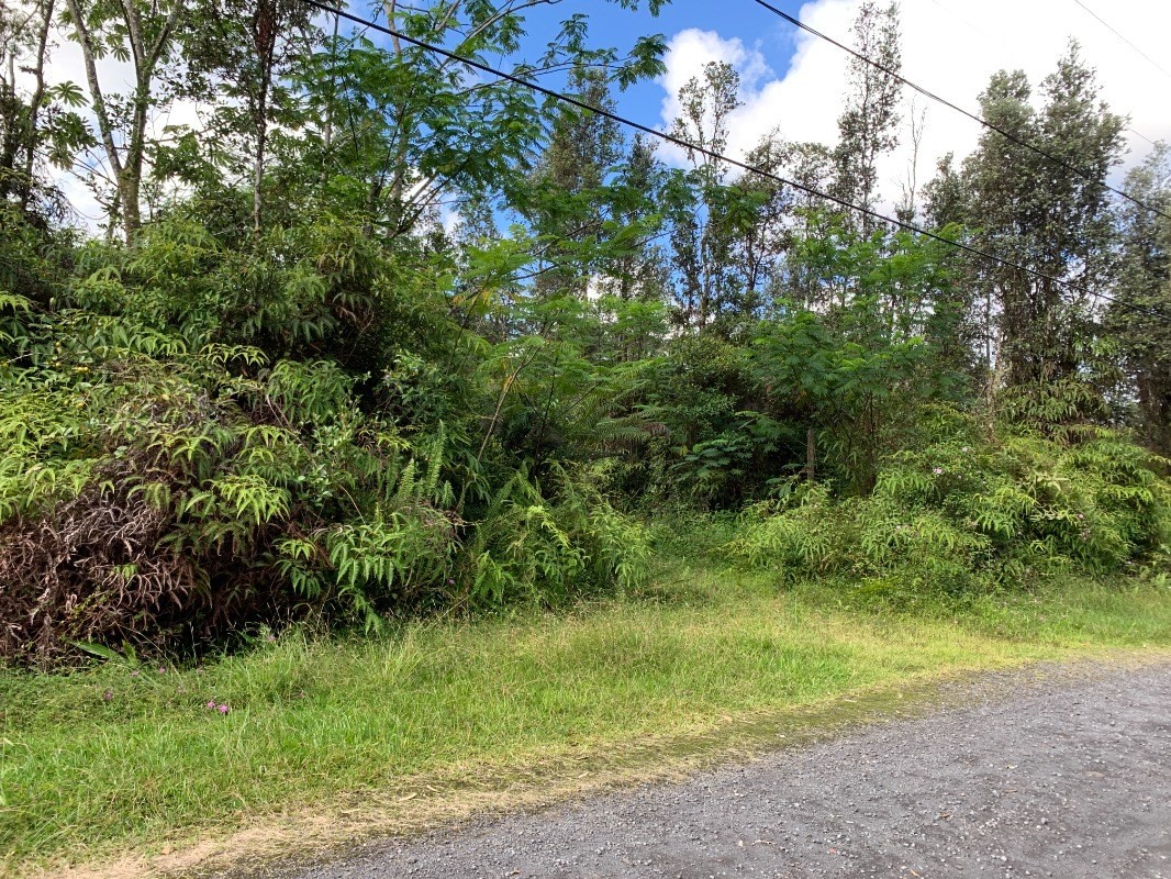 14-3374 Pikake Road Pahoa, HI 96778 - Photo 6 of 6 Gallery Image 6