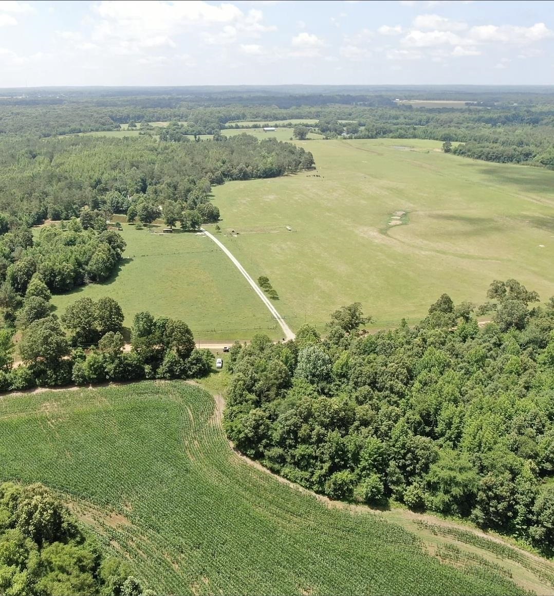 0 Dorse Road Moscow, TN 38057 - Photo 1 of 39 View of rural area featuring a forest